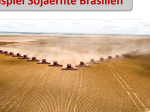 Sojaernte Brasilien