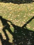 Img 20201014 Wa0023