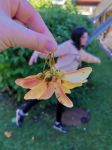 Img 20201008 145551